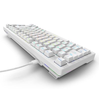 8. Sharkoon Gaming Tastatur Skiller SGK25 DE
