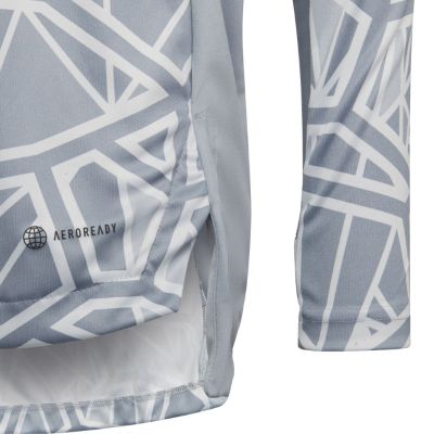 8. Koszulka bramkarska dla dzieci adidas Condivo 22 Long Sleeve Jersey szara HB1646