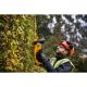 6. Dewalt Nożyce akumulatorowe DCMHT563N-XJ