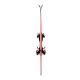 7. Narty damskie Rossignol Nova 10 + wiązanie LOOK Xpress W 11 Gw B83 Tonic Sunset