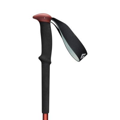 4. Kije trekkingowe Black Diamond Trail Trekking Poles Iron Red