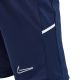 13. Spodenki Nike Dri Fit Academy 25 Jr FZ9784 410