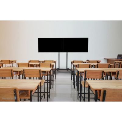 11. Neomounts uchwyt do telewizora dual screen ADM-875BL2