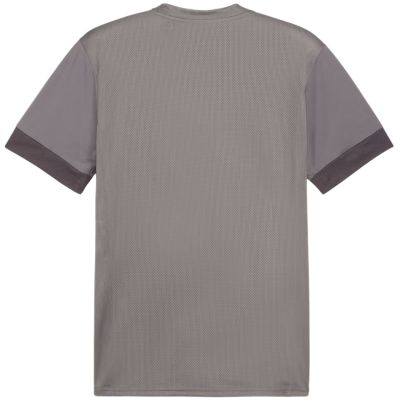 4. Koszulka Puma teamGoal Matchday Jersey M 705747 13