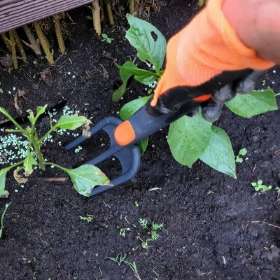 20. WIDEŁKI OGRODOWE