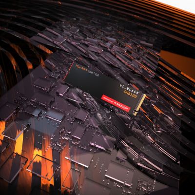 19. SSD WD Black SN8100 w/o HS 2TB WDS200T1X0M