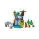 6. LEGO DUPLO TOWN 10446 Rodziny dzikich zwierząt 3w1