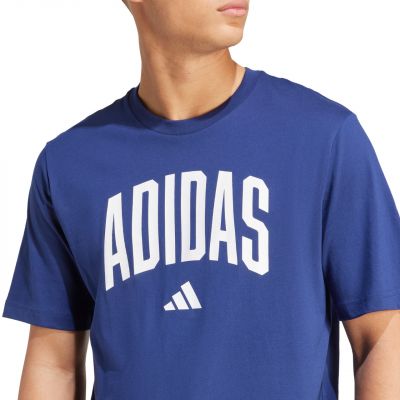 5. Koszulka adidas Collegiate Lineage Graphic M JM6417