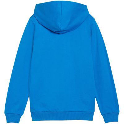 3. Bluza Puma teamGoal Casuals Hooded Jr 658596 02