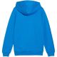 3. Bluza Puma teamGoal Casuals Hooded Jr 658596 02