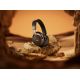 10. Bose 890101-0400 słuchawki/zestaw słuchawkowy Bezprzewodowy Opaska na głowę Połączenia/muzyka Bluetooth Czarny, Złoto