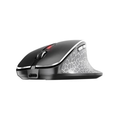 2. CHERRY MW 8C ERGO myszka Po prawej stronie RF Wireless + Bluetooth Optyczny 3000 DPI