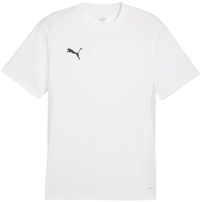 Koszulka męska Puma TeamGoal Jersey biała 658636 04
