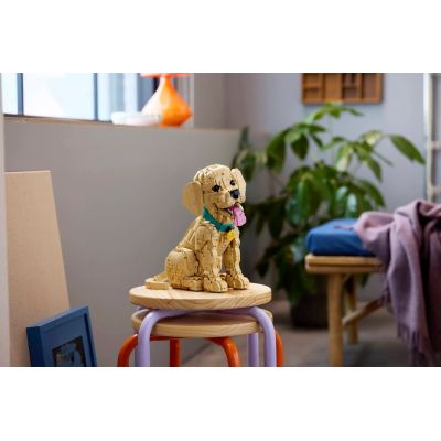 15. LEGO 11384 Icons - Szczeniak golden retriever