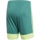 10. Spodenki adidas M Tastigo 19 Shorts DP3251