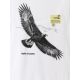 6. T-shirt regular z nadrukiem męski 4F 4FKAW26TTSHM4499-10S