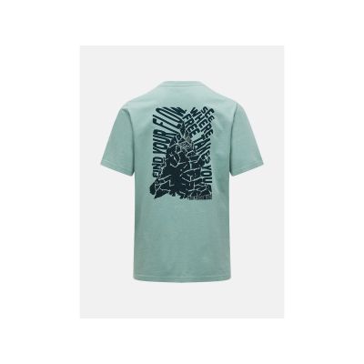 2. Koszulka męska PEAK PERFORMANCE M Original Graphic Tee kolor zielony
