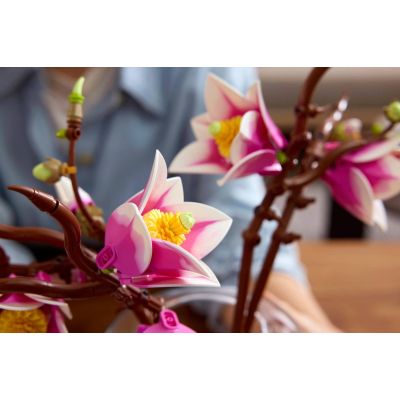 15. LEGO Botanicals 11510 - Gałązki magnolii