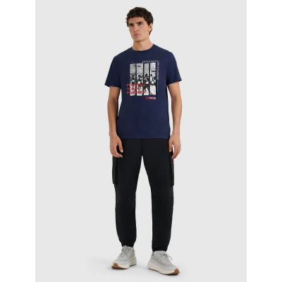 6. T-shirt regular z nadrukiem męski  4F 4FRAW25TTSHM3364-31S