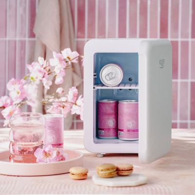 9. Mini lodówka ADLER AD 8084g szara