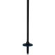 3. Kije Narciarskie ROSSIGNOL ELECTRA PREMIUM CARBON BLUE