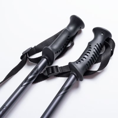 5. Kije ALPINE SKI II