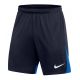 Spodenki Nike Dri-FIT Academy Pro M DH9236-451