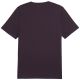 3. Koszulka Puma Essential Logo Tee M 586667 18