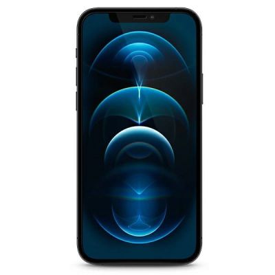 3. Szkło hartowane Guess Vintage Magic Logo na iPhone 12 Pro Max