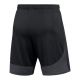 2. Spodenki Nike Dri-FIT Academy Pro M DH9236-014