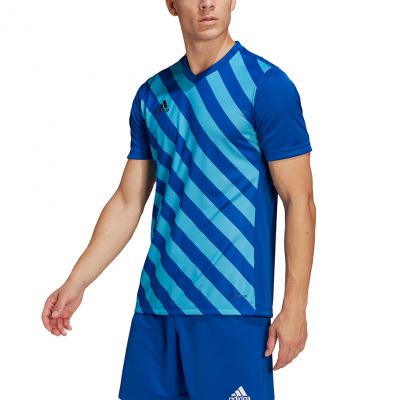 5. Koszulka adidas Entrada 22 Graphic Jersey M HF0116