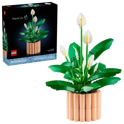 15. LEGO Botanical 11504 Skrzydłokwiat w doniczce