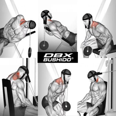 10. Korona Karku Uprząż na szyję  - Pro Neck Harness