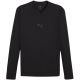 Koszulka męska Puma TeamGOAL Baselayer Tee Longsleeve czarna 658777 03