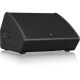 2. Turbosound TFM-152M Monitor sceniczny pasywny 15"