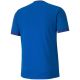 2. Koszulka Puma teamGOAL 23 Jersey M 704171 02