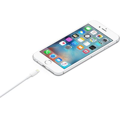 2. Apple Lightning to USB Cable (1m)