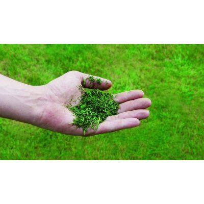 3. Einhell Kosiarka Spalinowa GC-PM 56/2 S HW