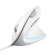 Mysz TRUST Verto ERGO vertical ergonomic White