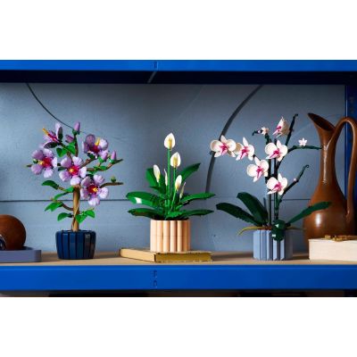 10. LEGO Botanical 11504 Skrzydłokwiat w doniczce