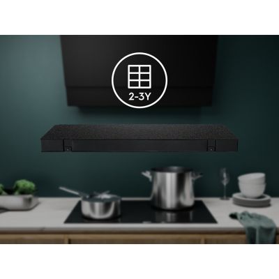 4. Electrolux ECFBPL02 Filtr zapachów