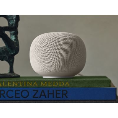 2. Google Home White