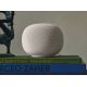 2. Google Home White