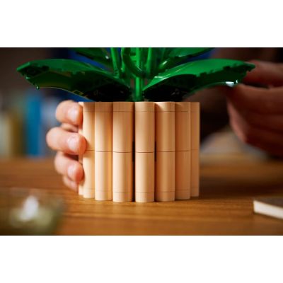 14. LEGO Botanical 11504 Skrzydłokwiat w doniczce