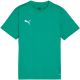 Koszulka dla dzieci Puma TeamGoal Jersey zielona 658637 05