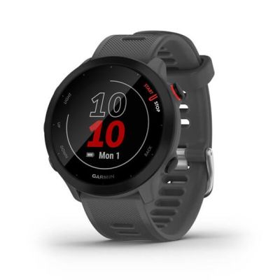 Zegarek sportowy Garmin Forerunner 55 Szary (010-02562-13)