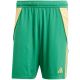 3. Spodenki adidas Tiro 24 M IT2414