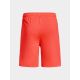 8. Spodenki Under Armour M 1376955-877