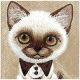 8. Etui Nimmy Big Eyed Pet 2.0 Cat do iPhone 17 - beżowe