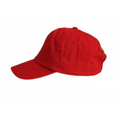 4. Czapka z daszkiem bejsbolówka Polo Ralph Lauren Lunar New Year Twill Ball Cap - 710892530001